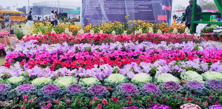 Noida flower show